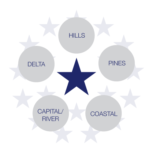 A five pointed start that represents the distinct regions of Mississippi: Hills, Pines, Coastal, Capital/River, and Delta.