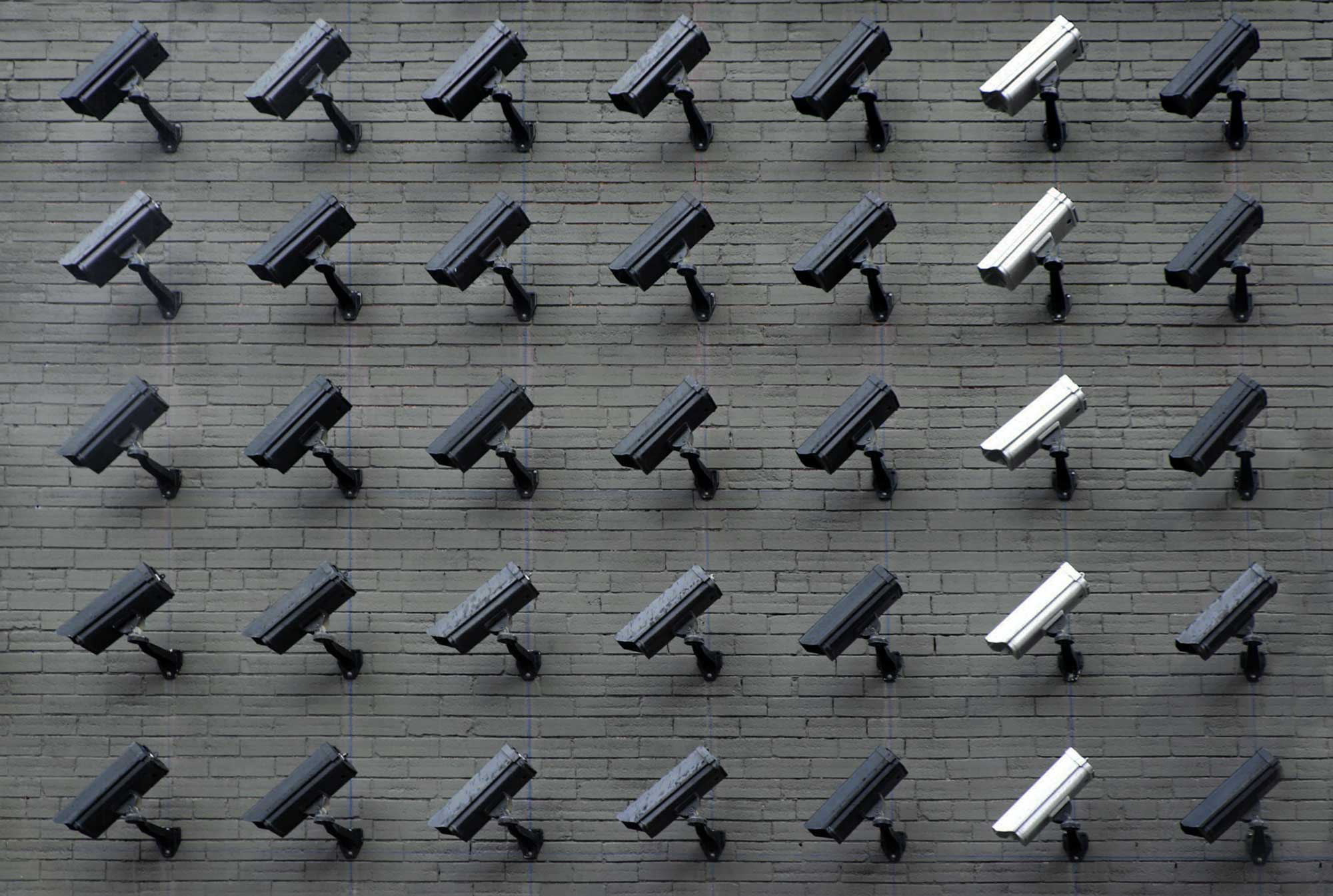 A wall of cameras. Most of the cameras are black with a column of white cameras.